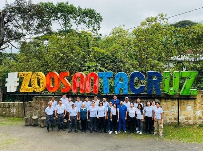  - El oso de anteojos más longevo de Colombia se encuentra en el Zoológico Santacruz