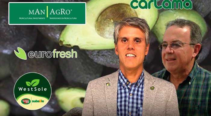  - La guerra por el aguacate hass colombiano