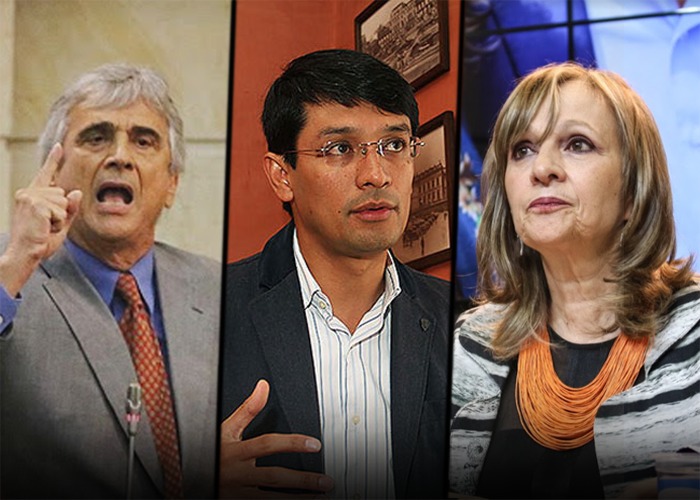 Ya están 6 peleándose la candidatura presidencial verde