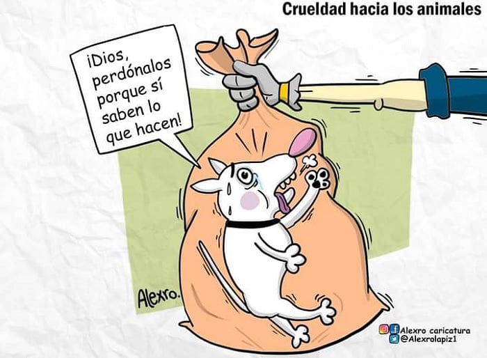 Caricatura: ¿Hasta dónde llegará la crueldad contra los animales?
