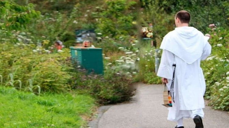 Padre, quiero hablar con usted: como ovejas en medio de lobos