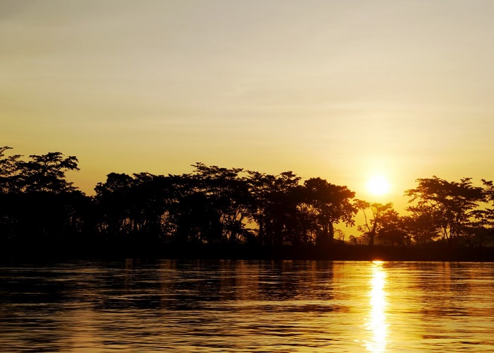 Que se venga pa' acá, pa' la loma