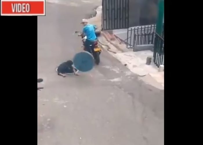 VIDEO: Por robarse una tapa de alcantarilla, ladrón termina dentro de esta