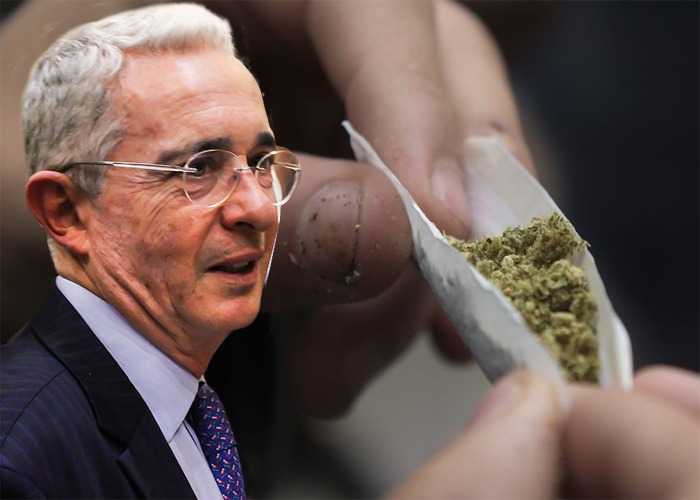 El bien que le haría a Uribe volverse marihuanero