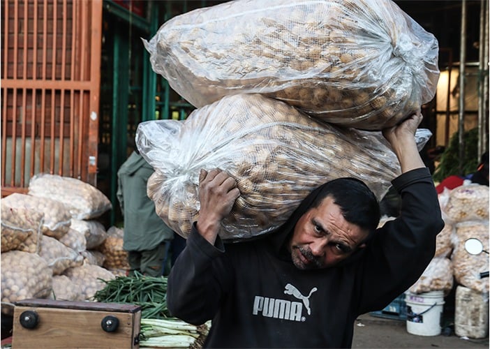 ¿Por qué la papatón no sirvió para nada?