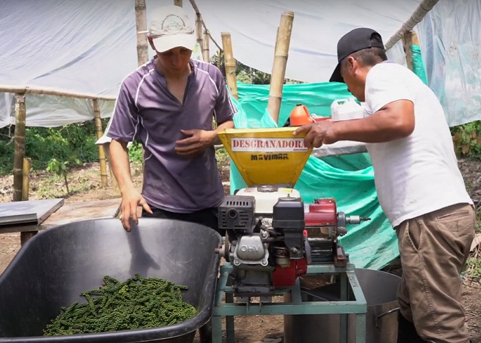 Los acuerdos y la transformación de la vida en los territorios