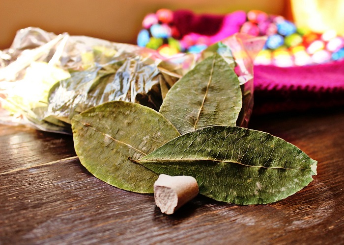 La coca puede ser la salvación de Colombia