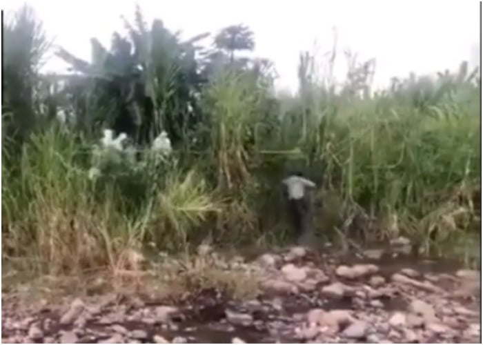 VIDEO: Misteriosa sombra aparece en pleno levantamiento de cadáver de mujer asesinada