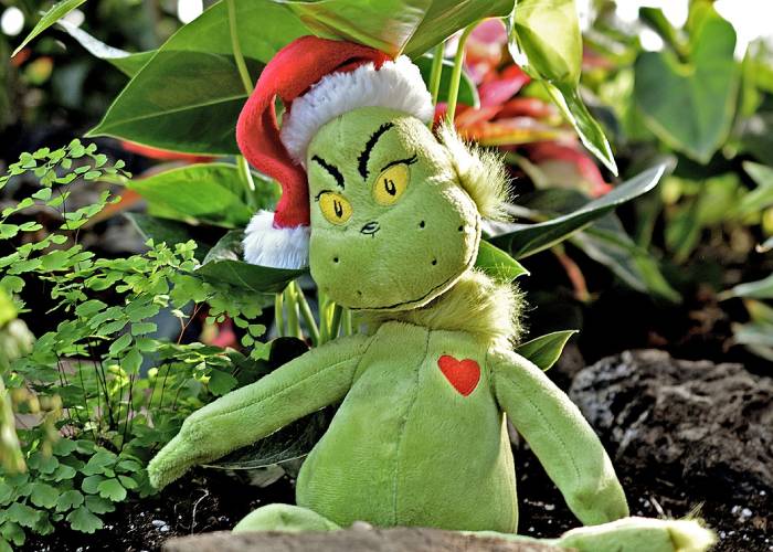 El Grinch y la peste