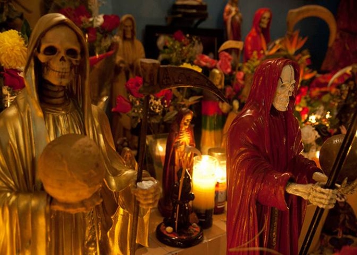 30 animales decapitados en rituales satánicos al norte de Bogotá