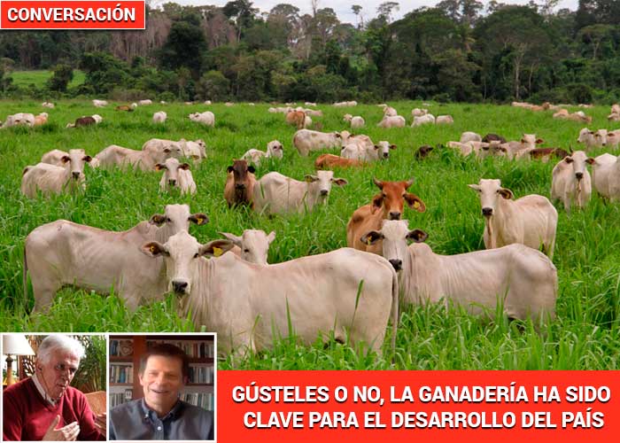 “La ganadería no es la causa de los males del campo colombiano”