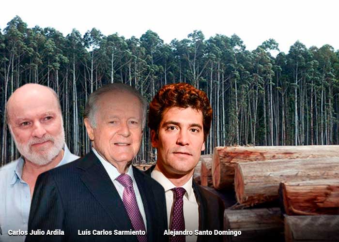 Sarmiento, Santo Domingo y Ardila, también en el negocio de la madera colombiana