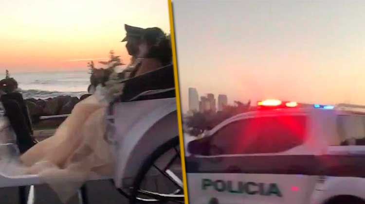 La Policía torea el avispero