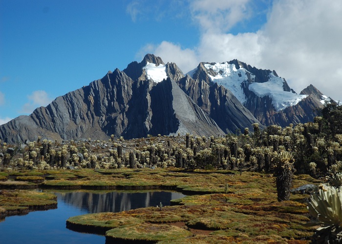 ¿Nuevos rumbos para el ecoturismo en los Parques Nacionales?