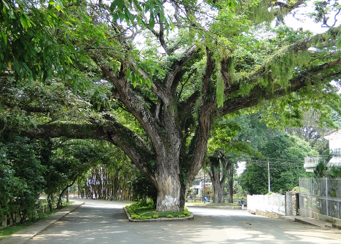 Santander de Quilichao, agitado cruce de caminos