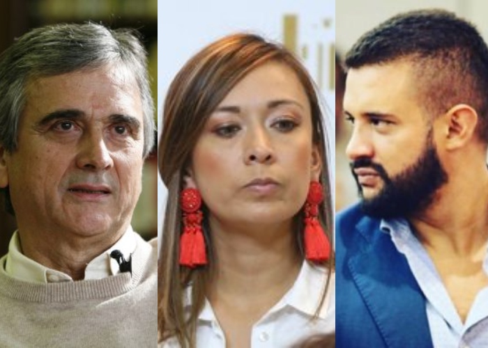 Las tres peleas que tienen al Partido Verde dividido