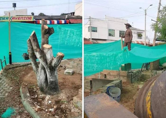 Hasta el municipio de Sahagún llegaron las motosierras asesinas