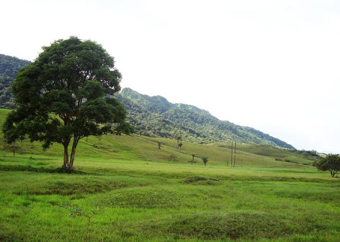 Caquetá, un destino por explorar