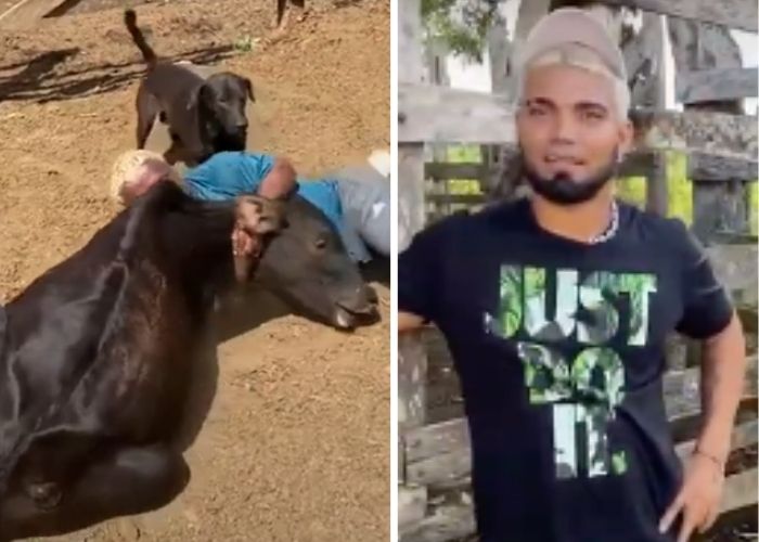 Influencers quieren likes maltratando animales