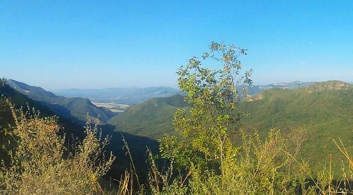  - El Arbolito, un plan diferente en Girardot