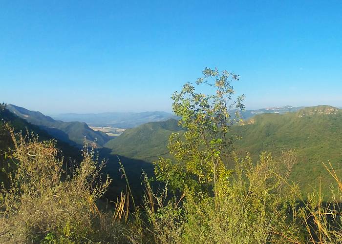 El Arbolito, un plan diferente en Girardot