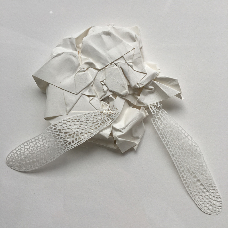 La nueva vida del papel