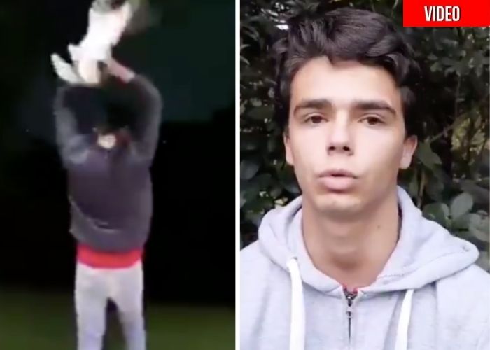 El niño play de Medellín que casi asesina a un gato pide perdón