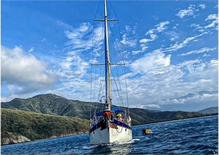  - Operación tortuga: la obsesión de Franco Ospina por limpiar de plástico el Caribe