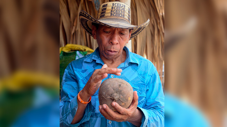 Cantos y luchas del sembrador