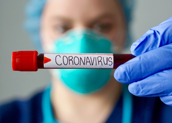 La OMS concluye que el origen del coronavirus serían los murciélagos