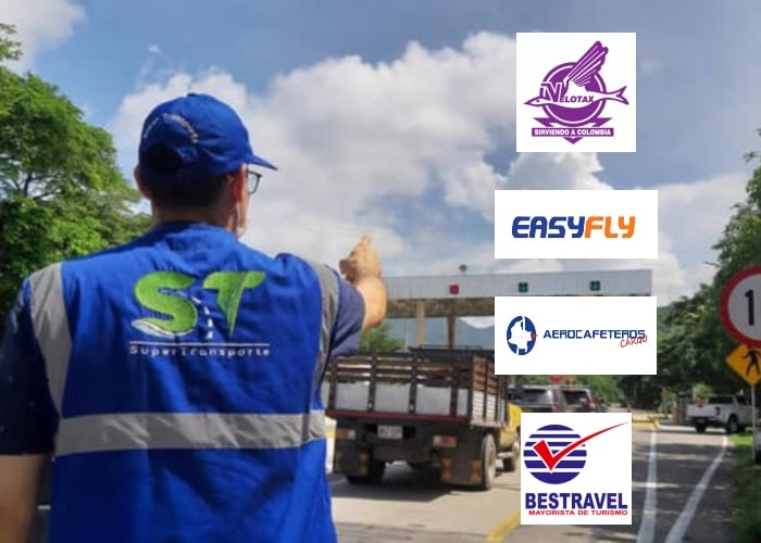 EasyFly, Velotax y dos más, señaladas de maltratar mascotas en los viajes