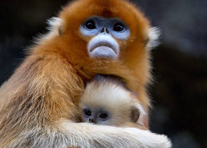 Etodiversidad, un nuevo concepto de generación de diversidad