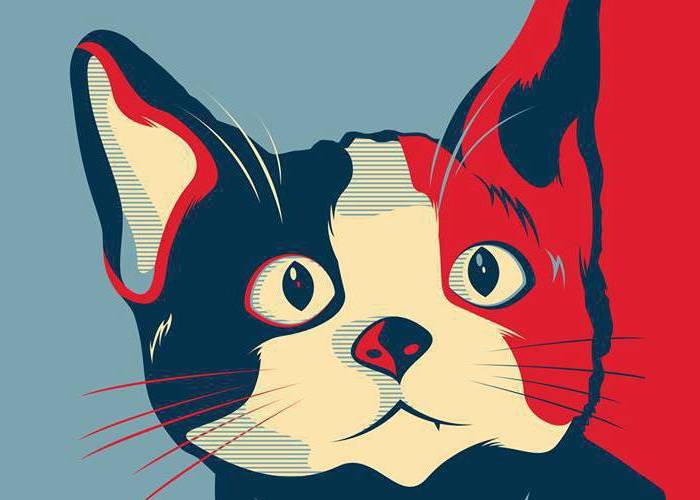 Un gato, candidato presidencial para el 2022