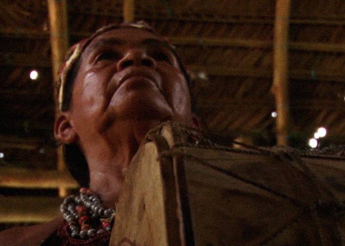 Contraloría alerta sobre escaso avance en protección de los nukak