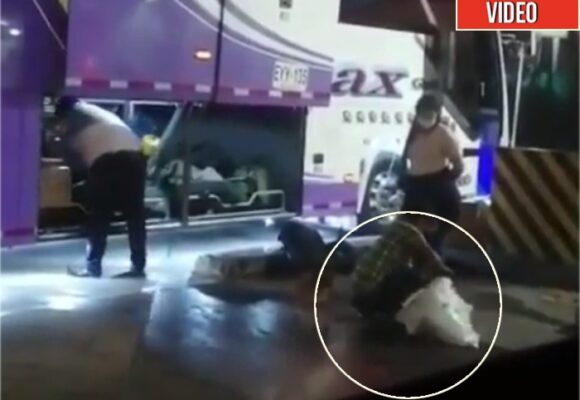 VIDEO: Velotax la empresa que maltrata animales llevándolos en costales