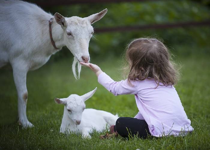 Educar para la vida, una revuelta cultural
