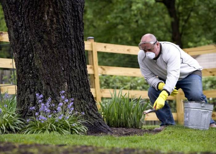 ¿Glifosato, un producto importante para la protección de cultivos?