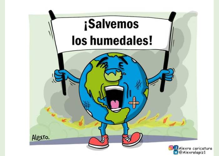 Caricatura: ¡Salvemos los humedales!