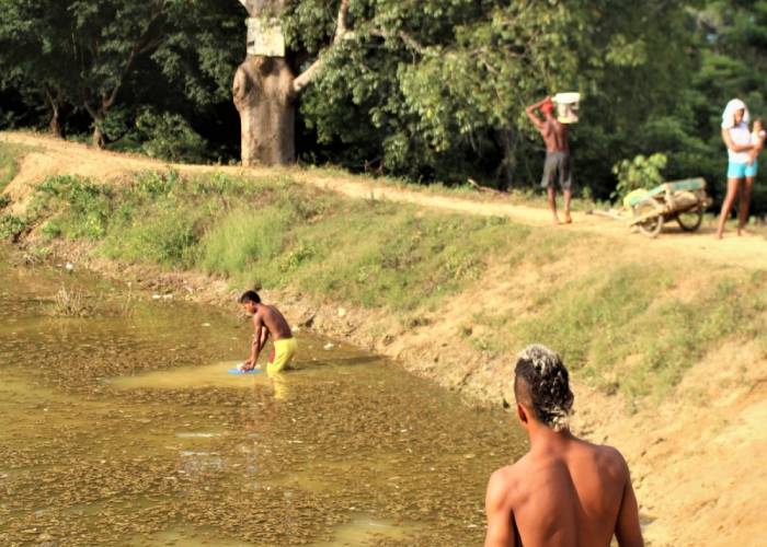La llegada de los servicios básicos para la construcción de paz en la ruralidad