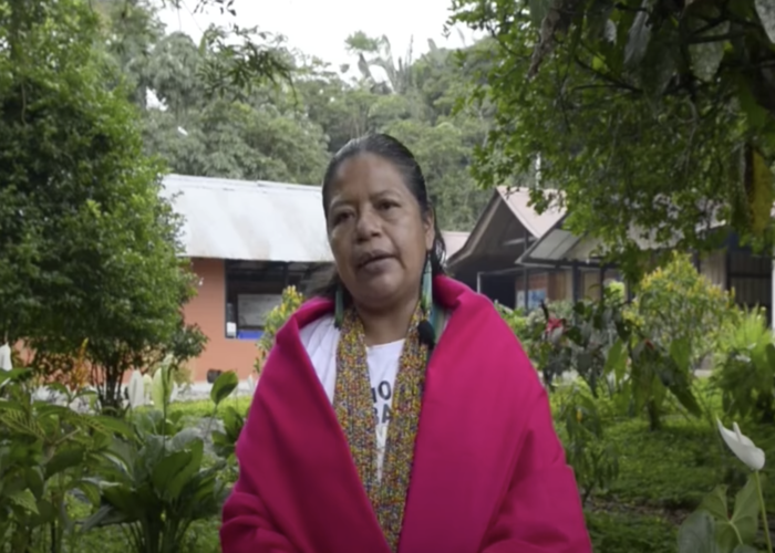 Las mujeres que se convirtieron en guardianas de la Amazonia