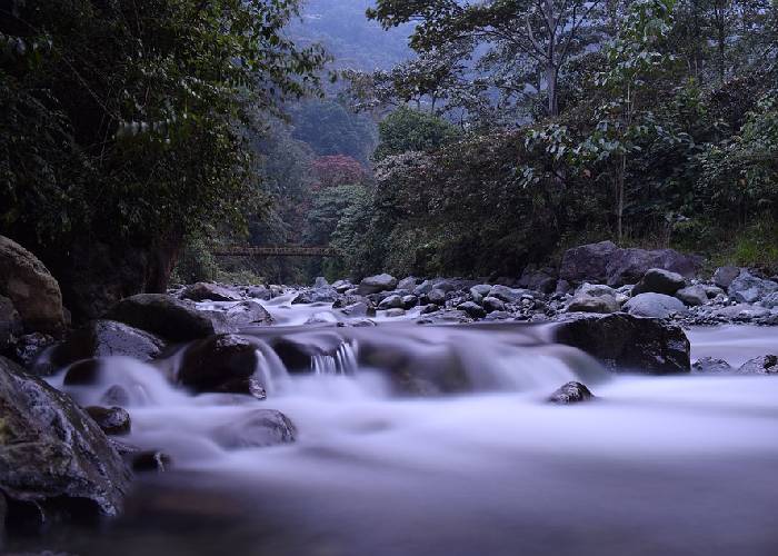 Un llamado desde Cali, territorio de las aguas