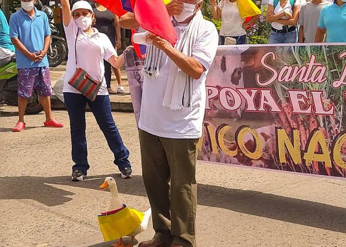 Tita, la pata vándala