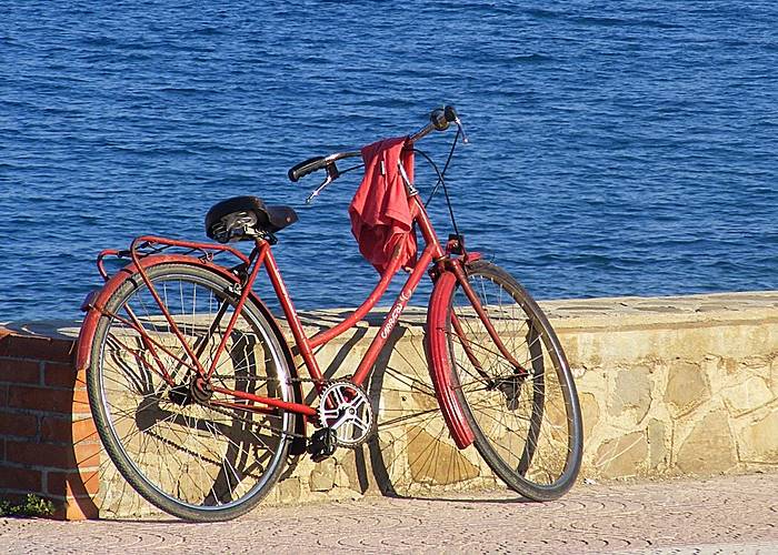 Pedaleando por el pan: la desigualdad sobre ruedas