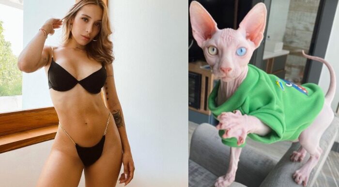  - ¿Extravagancia de nueva rica? el horrible gato de 1.000 dólares de Luisa Fernanda W