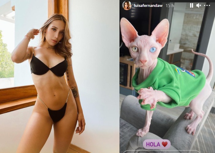 ¿Extravagancia de nueva rica? el horrible gato de 1.000 dólares de Luisa Fernanda W