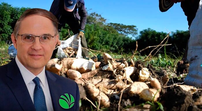  - La yuca costeña encontró padrino internacional