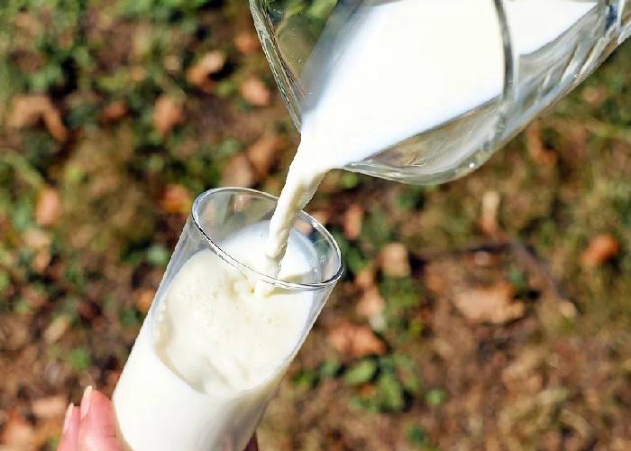 ¿Y qué se produce en el país?