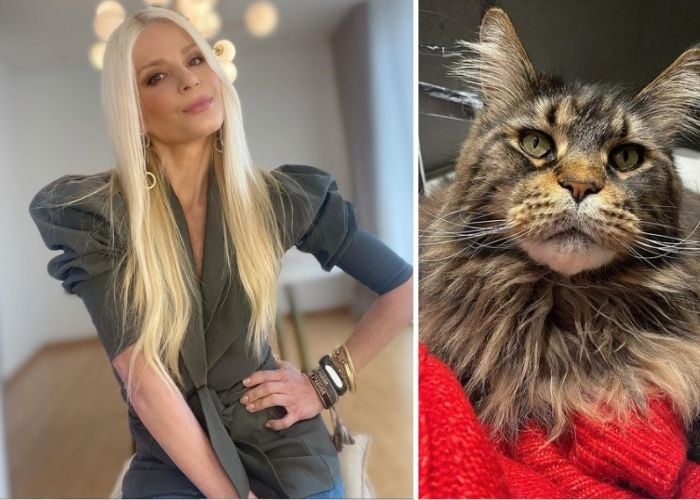 Su gato Calixto: la extravagancia de Mary Mendez que vale más de 3 millones de pesos