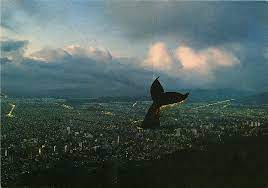  - Las escrituras de Gustavo Zalamea