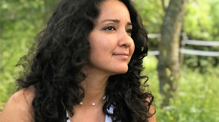 Traducir a Alessandro Baricco